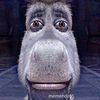 Alan