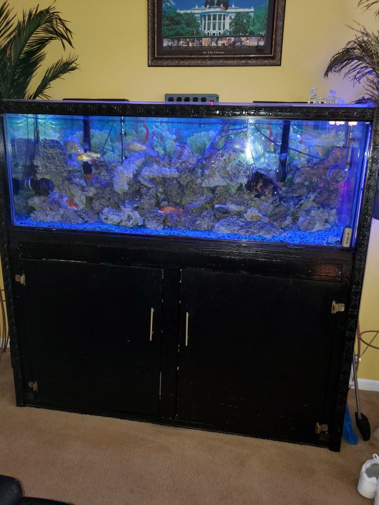 Aquarium custom built cabinet.
