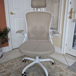 Ergonomic Office Chair.