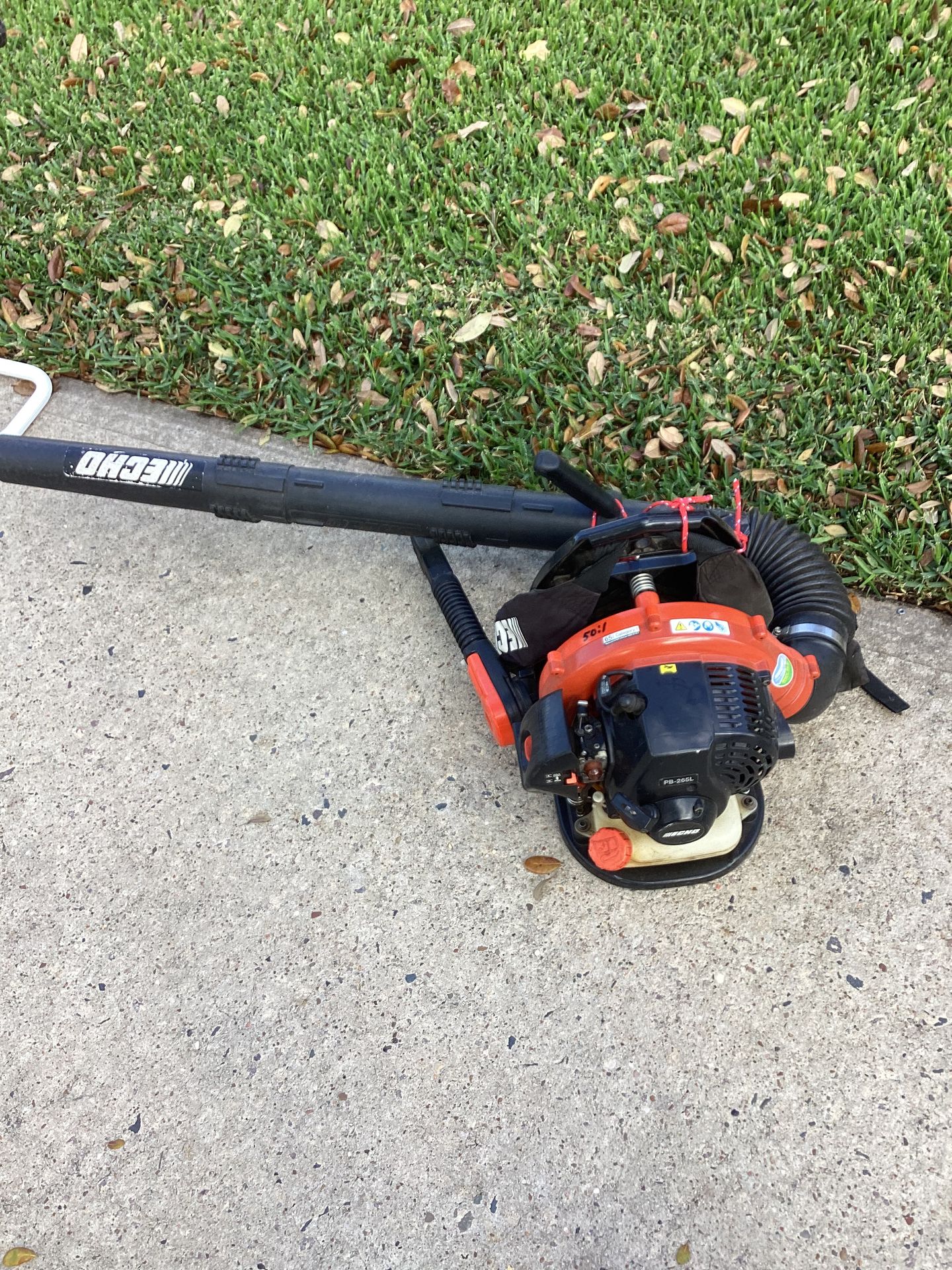 Echo Leaf Blower