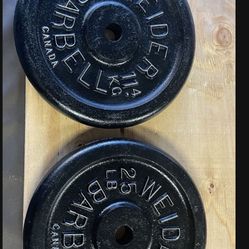 Weight Plates.         40 Dollars 