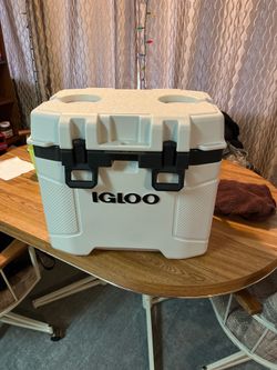 Igloo 25qt mini cooler