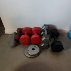 Weights 