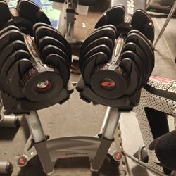 Bowflex 1090 Adjustable Dumbbells And Stand