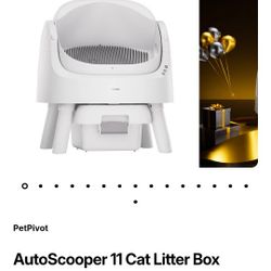 Last Litterbox You'll Ever Need!