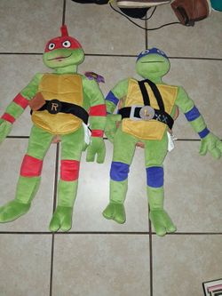 Teenage mutant ninja turtles