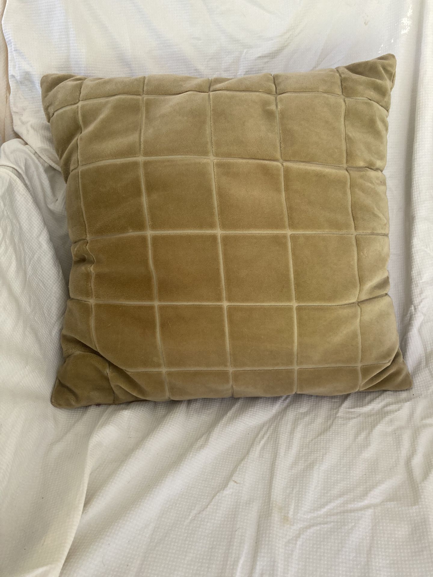 Gold Throw Pillow