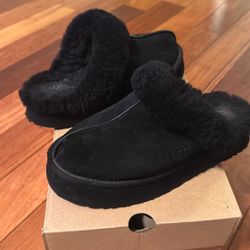 Ugg Disquette 