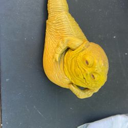 Jabba the hut