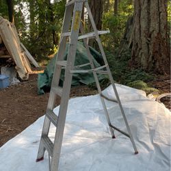 aluminum 7ft ladder