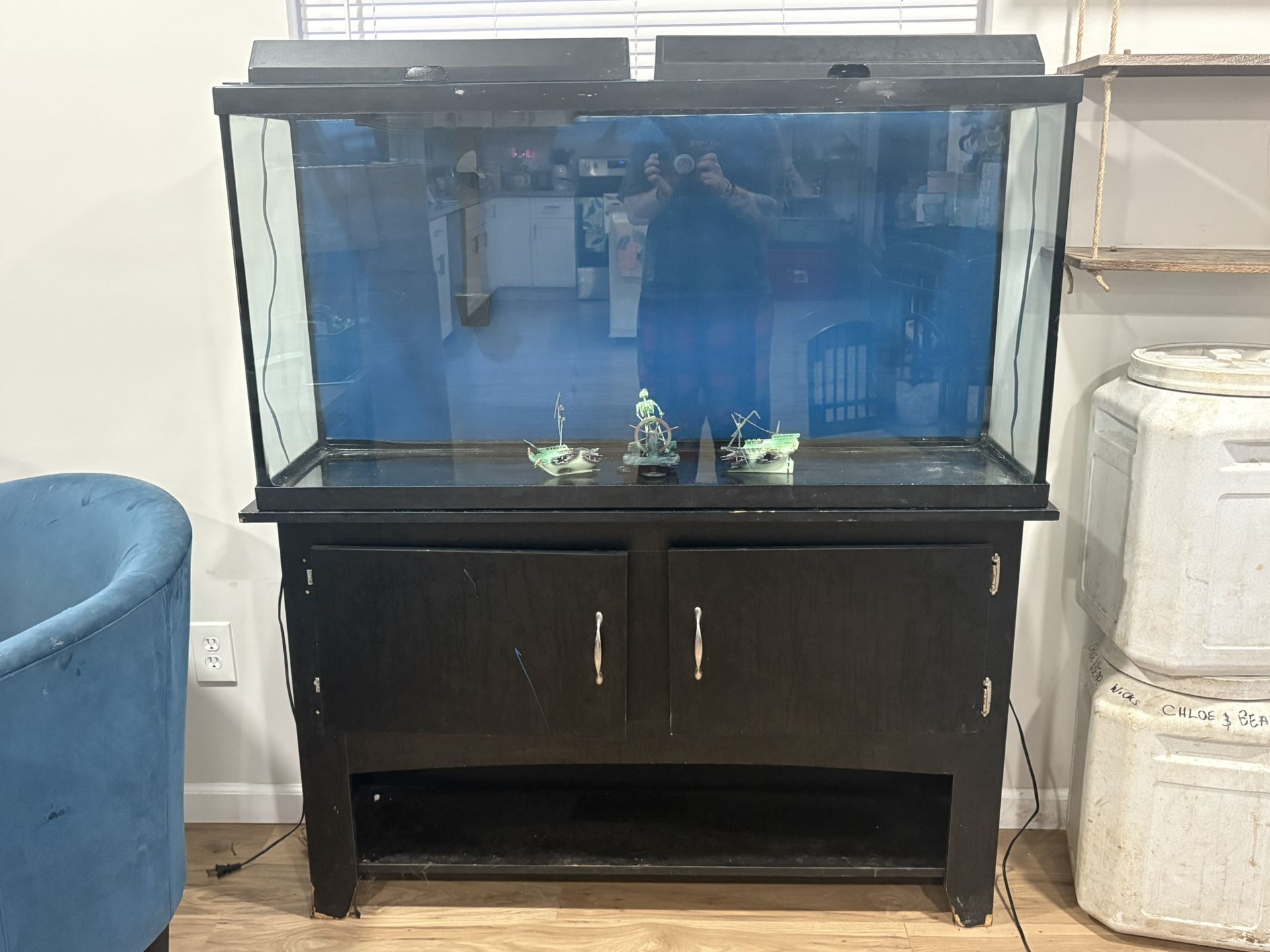 60 Gallon aquarium Set Up