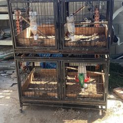 Free Cages 