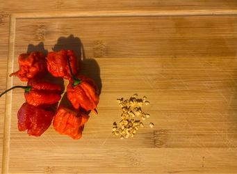 Carolina Reaper pepper seeds