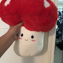 Squishmallows And Plushies 