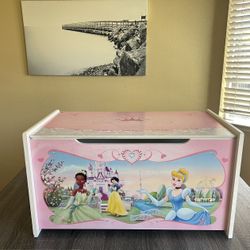 Disney Princess Toybox