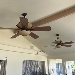 2 - Large Hampton bay fan-light combos