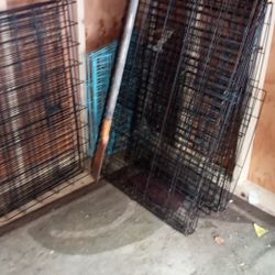 Dog  Cages