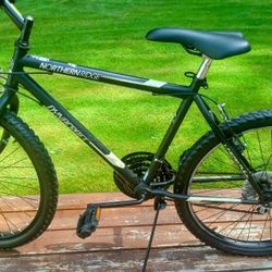 Dynacraft Bike