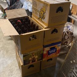 Free Clean Beer Bottles For Making Your Own Brew Pick Up Today Sunday 