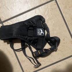Small Dog Harness 