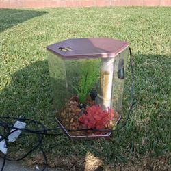 5 gallon Fish 🐟 Tank