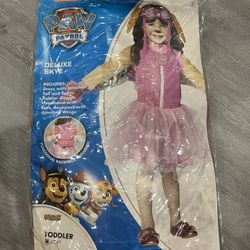 Paw Patrol Skye Costume