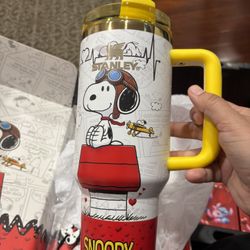 Snoopy Cup With Custom Box