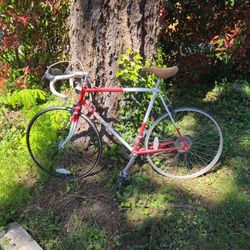 Trek 531 Tri Series Roadbike