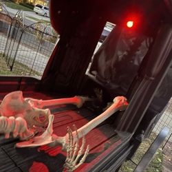 Haunted Hearse And Horse With Skeleton Driver