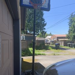 Priced To Sell: Basketball Hoop