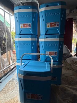 Igloo Cooler Bra New