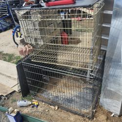 Dog Cages