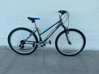 Silver 26in MTB