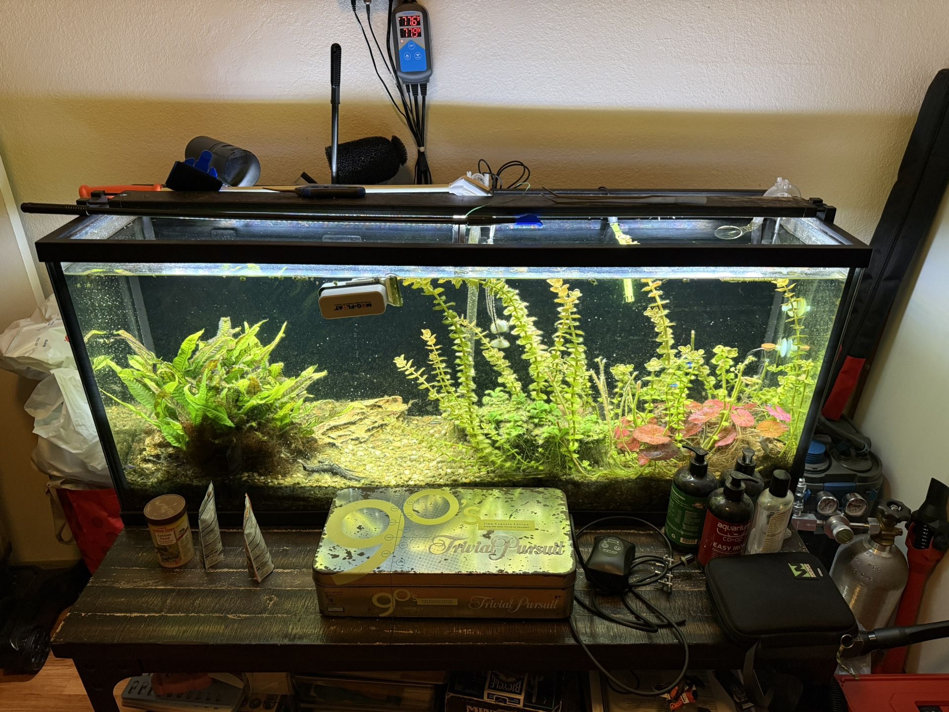 55Gallon Fish Tank With Tons Of Extras!!