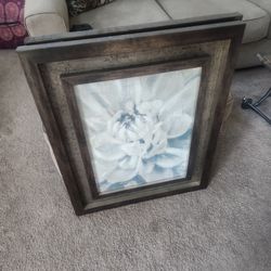 Medium At Home Pictures