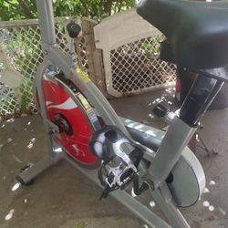 Sunny Exercise Bike