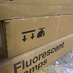 Flourescent Bulbs T12