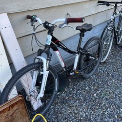 2019 Bike