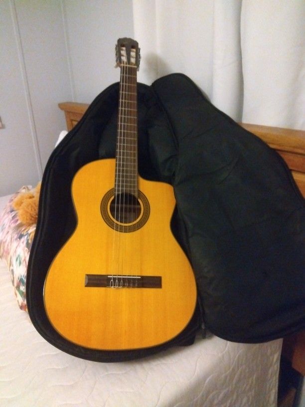Takami Guitar