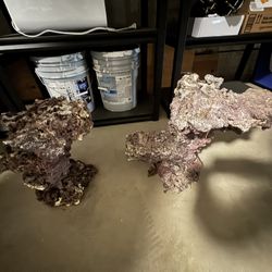Reef Rock Set