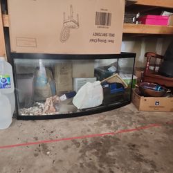 Aquarium