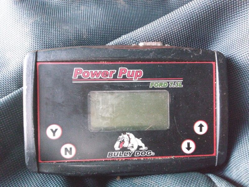 Power Pup Bully Dog