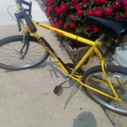 New Bike