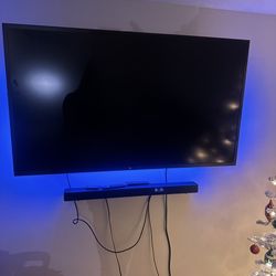 65 inch SunBrite outdoor tv