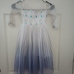 Elsa Dress Costume