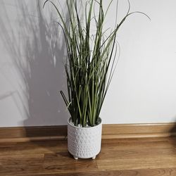 Artificial Plant in Decorative White Pot