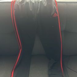 Adidas Pants 