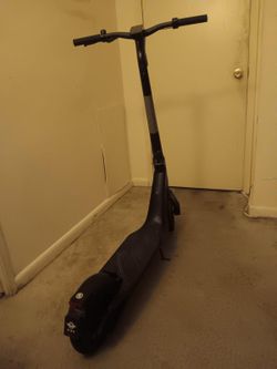 Bird flex scooter