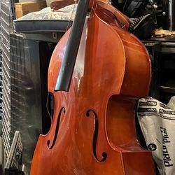 ❤️Bass Chilo With Case Fixer Upper 