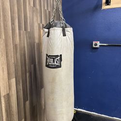 80lb Everlast Boxing Heavy Bag And Gloves 